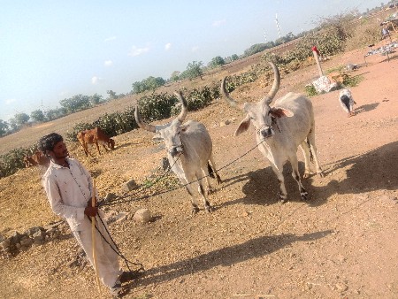 ભંડારીયા ગામ દેવભૂમિ દ્વારકા બે વા