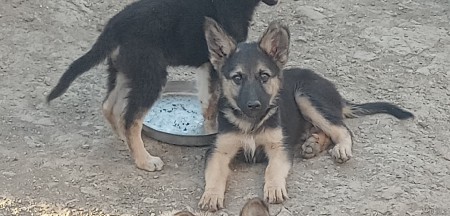 थंबनेल 3