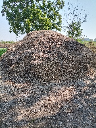 મગફળી નો ભુકો વેચવાનો છે.