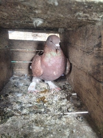 થંબનેલ 2