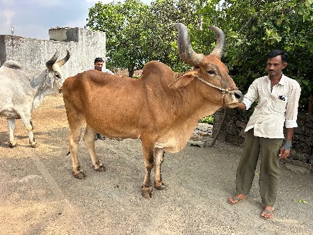 થંબનેલ 2