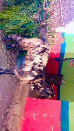 थंबनेल 3