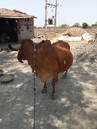 थंबनेल 3