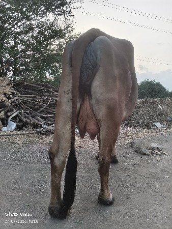 थंबनेल 2