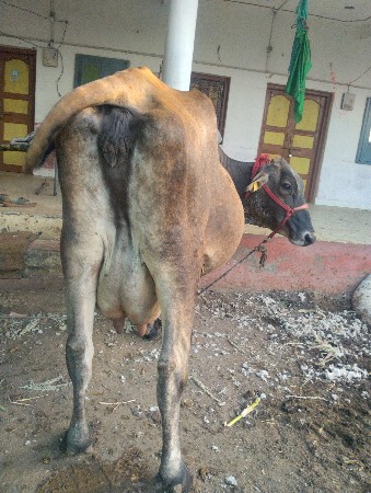 થંબનેલ 2