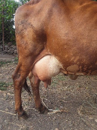 थंबनेल 1