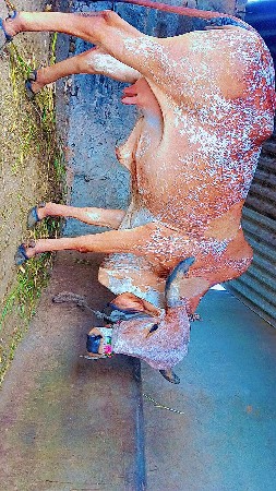 થંબનેલ 3