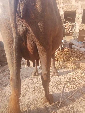 थंबनेल 2