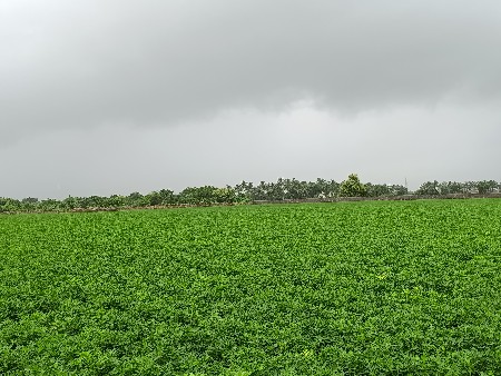 જમીન ભાગમાં આપવાની છે 9898909740