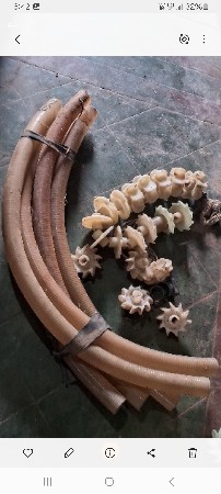 थंबनेल 2