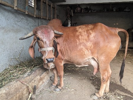 थंबनेल 2