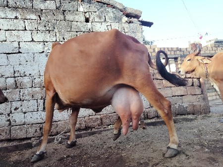 થંબનેલ 3