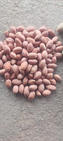 ગીરનાર ચાર માડવી