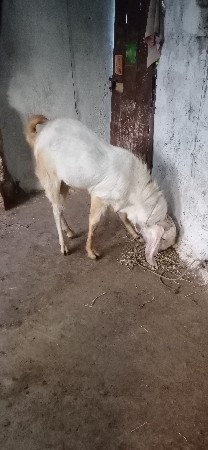 थंबनेल 2