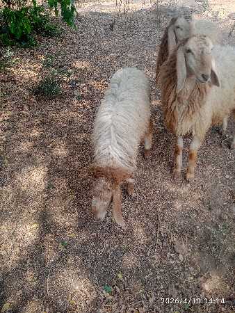 थंबनेल 2