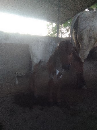 થંબનેલ 3