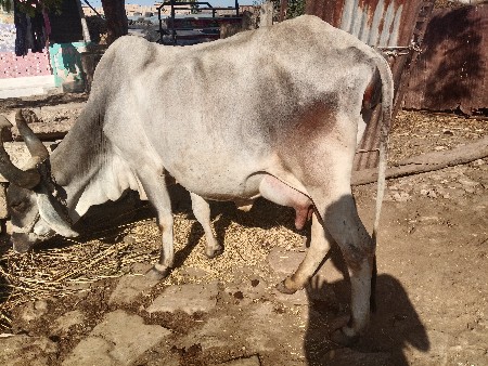 थंबनेल 2