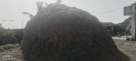 માંડવી નો ભૂકો જી 20 નો