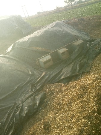 મગોટુ વેશવાનુ