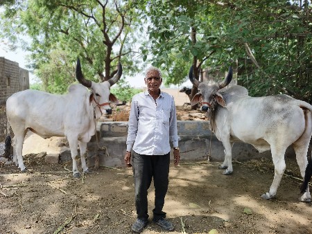 થંબનેલ 2