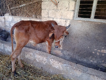 थंबनेल 2