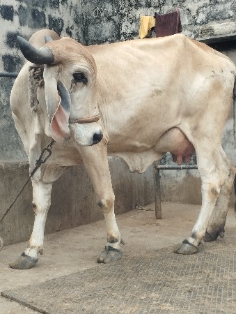 थंबनेल 2