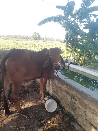 थंबनेल 2