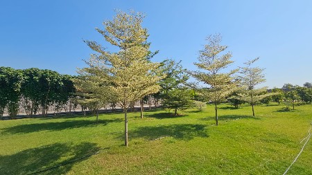 જમીન લે વેચ માટે મળો