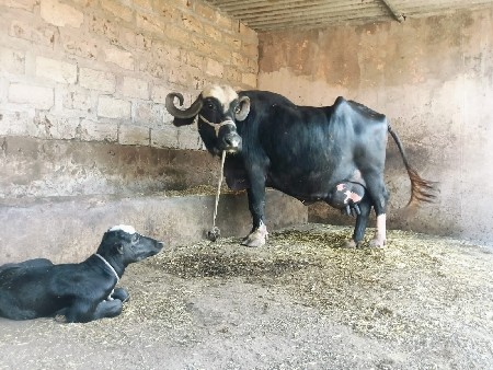 थंबनेल 3