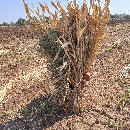 ગરમટા હિતેશ