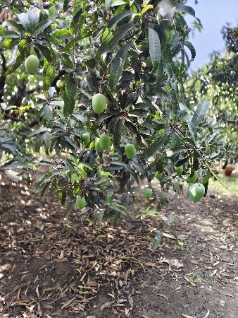 थंबनेल 3