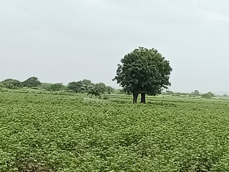 આ જમીન વેચવાની છે