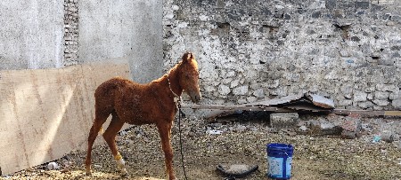 थंबनेल 2