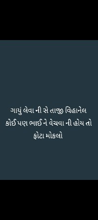 ગાયું લેવા ની સે 10