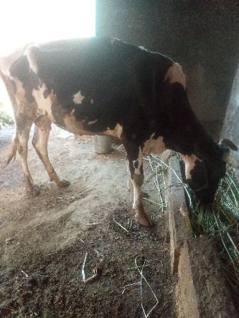 થંબનેલ 3