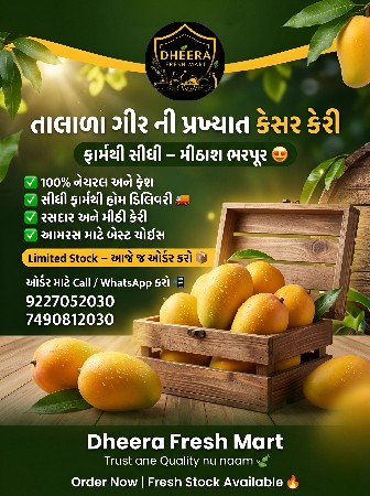 તાજી ગીરની પ્રસિદ્ધ કેસર કેરી 🥭