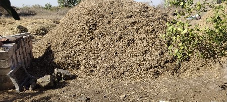 માંડવીનો ભૂકો વેચવાનું સે