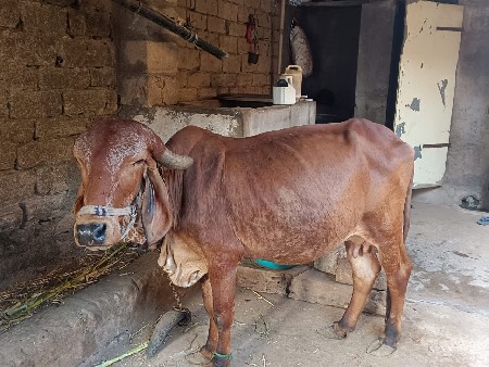 थंबनेल 2