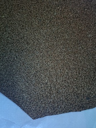 ધઉ ટુકડા 496 છે મશીન સાફ કરેલ છે