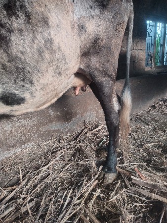 थंबनेल 2