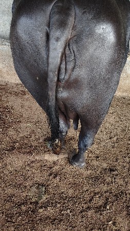 વેચવાની છે