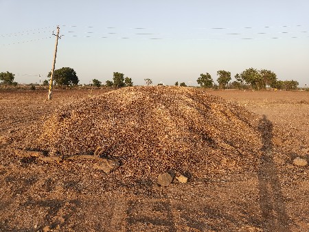 માંડવી નો ભૂકો