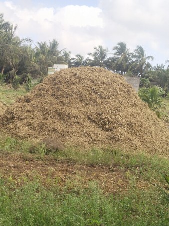 माडवयु