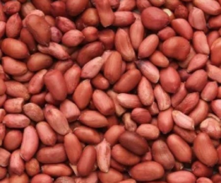 દાયીરેક ખેડૂત પાસેથી લેવા લાયક bij