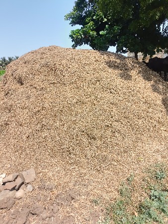 માન્ડવીયુ વેસવાનુ છે.