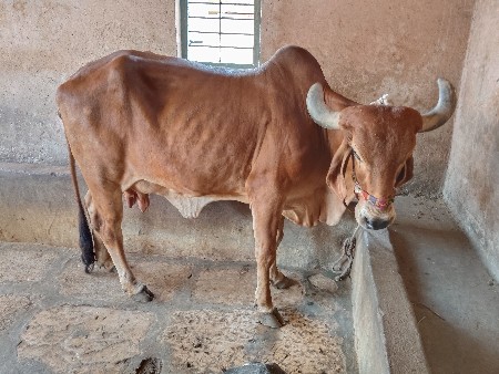 વેચવાનું
