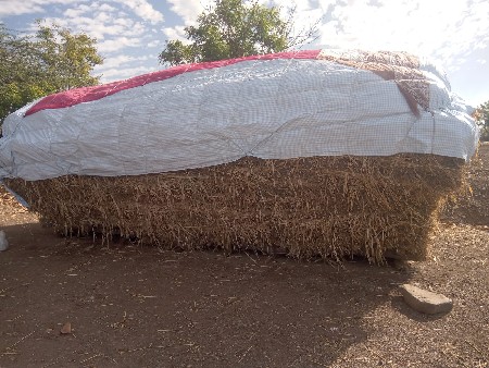નીરણ વેચવાની છે