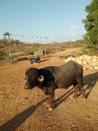 85 હજાર
