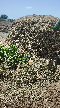 madvino bhuko