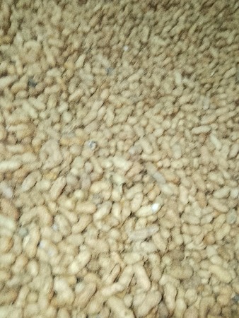 માંડવી ૧૨૮ નંબર